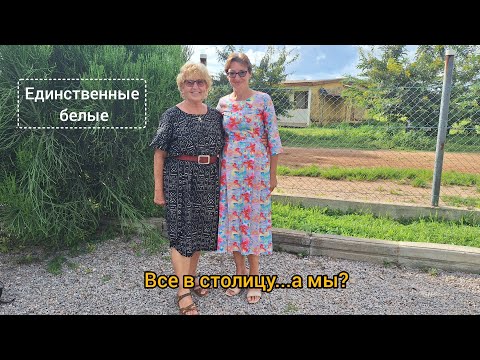 Видео: #131 Африка бывает разной: столица манит, но провинция - наш дом.