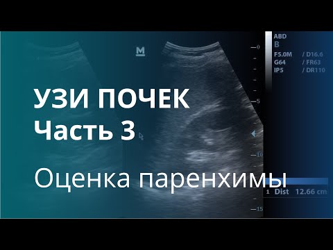 Видео: УЗИ почек. Часть 3. Оценка толщины и эхогенности паренхимы