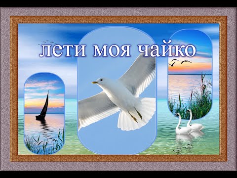 Видео: ЛЕТИ МОЯ ЧАЙКО