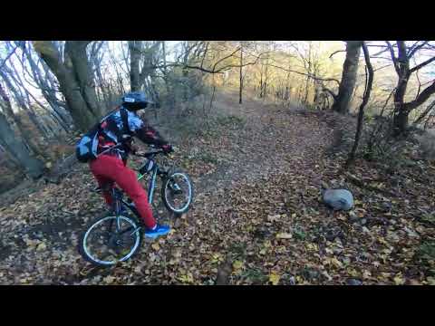 Видео: Тимон без Пумба