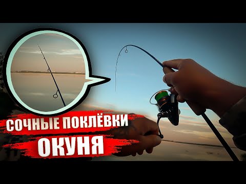 Видео: Рыбалка в НОВОСИБИРСКЕ! Сочные поклёвки окуня на МИКРО-ДЖИГ...