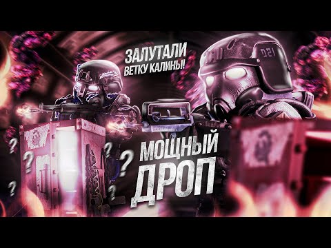 Видео: НАШЛИ РЕДКУЮ ВЕТКУ КАЛИНЫ И ОТКРЫЛИ СЕЙФ ШЁПОТА В STALCRAFT X | РОЗЫГРЫШ 12 БОЕВЫХ ПРОПУСКОВ