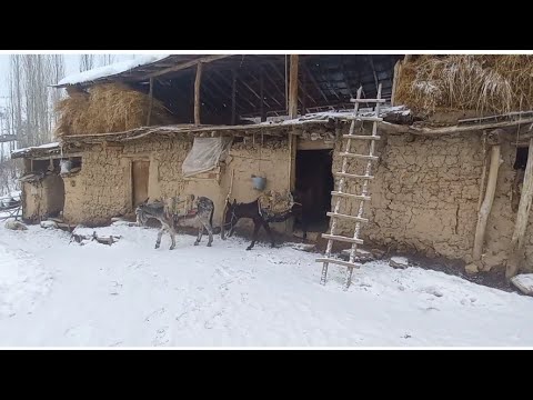 Видео: Tajikistan Tudai Nask Village манзараи зебои тудаи наск 2024