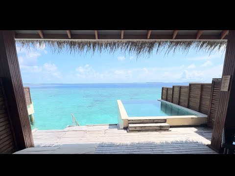 Видео: Малдиви част 4- взехме водна вила с басейн/ заслужава ли си?| вечерии в ресторантите и още
