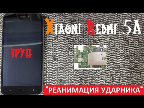 Видео: Xiaomi Redmi 5A не включается не заряжается "РЕАНИМАЦИЯ УДАРНИКА"