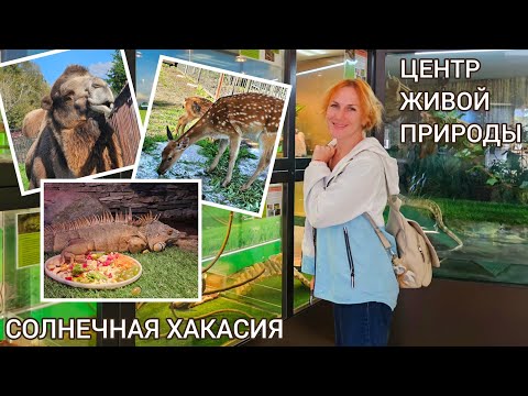 Видео: ГЛОБАЛЬНЫЕ ПЕРЕМЕНЫ! ПАРК ЖИВОЙ ПРИРОДЫ УДИВИЛ Что нового в ЗООПАРКЕ АБАКАНА 8 сентября 2025г
