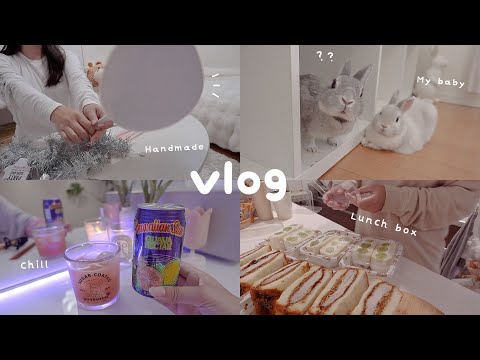 Видео: Подготовка к спортивному празднику. Сделайте ланч-боксы для шести друзей.