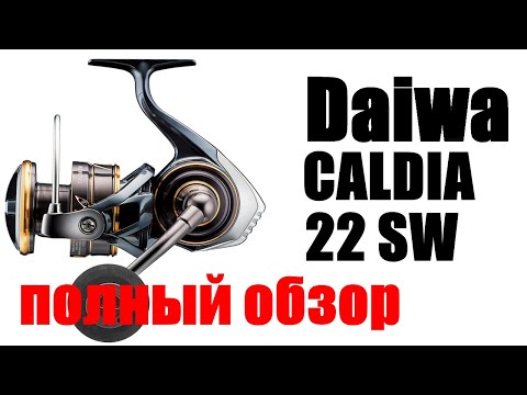 Видео: Daiwa Caldia 22 SW - МОЩЬ И ТЯГА !!!