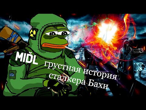 Видео: True Stalker RP ОБТ - "Грустная история Бахи"