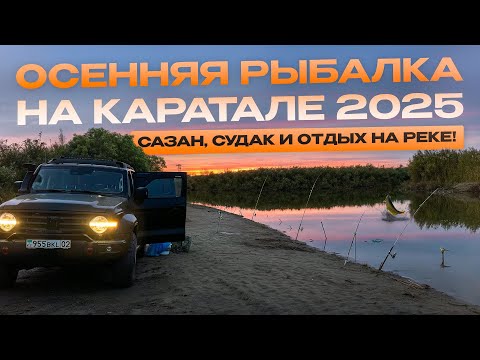 Видео: Осенняя рыбалка на Каратале 2025: сазан, судак и отдых на реке!