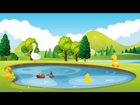 Видео: "Качка іде, каченят веде" (сенсорний розвиток, ранній вік)