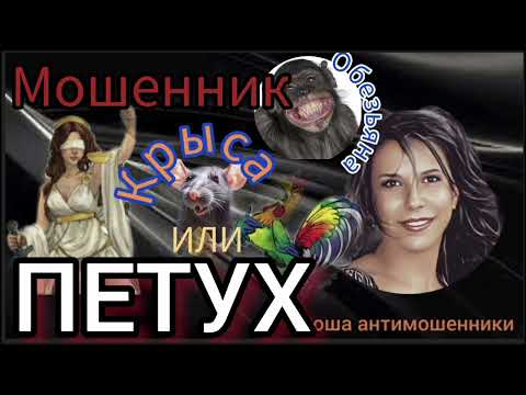 Видео: Диалоги с животными, или угадайте акцент тупых и неадекватных мошенников/Нюша /Антимошенники