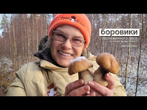 Видео: БОРОВИКИ заснеженного леса и снова МОРЕ ОПЯТ! Сказочные БОРОВИКИ!!!