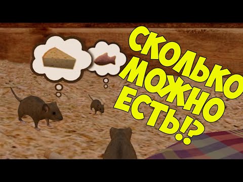Видео: СИМУЛЯТОР маленькой МЫШИ голодный МЫШОНОК и важная находка Ухаживаю за питомцем #8