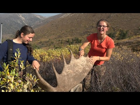 Видео: Канадские девушки охотятся на канадских лосей верхом на канадских лошадях
