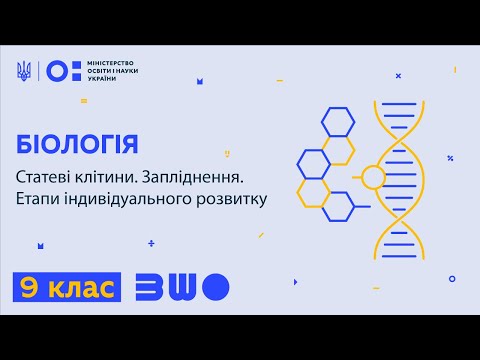 Видео: 9 клас. Біологія. Статеві клітини. Запліднення. Етапи індивідуального розвитку