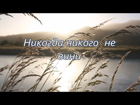 Видео: Никогда никого не вини