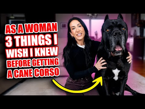 Видео: Как женщина, я хотела бы знать это до того, как завела кане-корсо