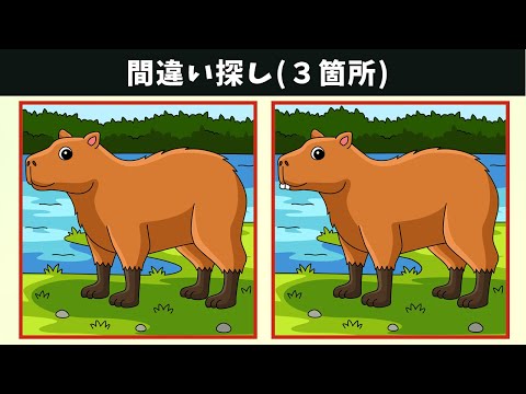 Видео: Найдите 3 отличия | Иллюстрация Версия #1102