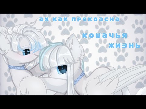 Видео: /pmv/~ах как прекрасна кошачья жизнь~{вокалойд Кагамине Лен и Гуми}