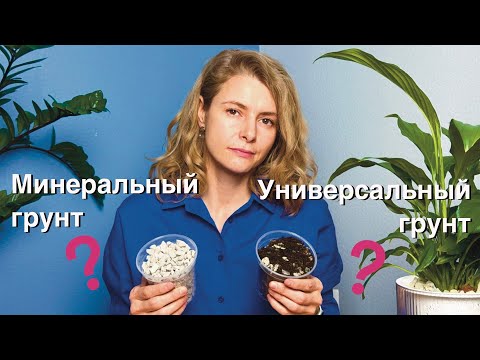 Видео: Обычный или минеральный грунт: что выбрать для растений?