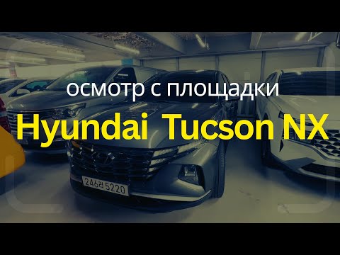 Видео: [0023]Смотрим на Hyundai Tucson NX4 найденный на Encar в Корее