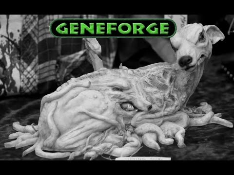Видео: GENEFORGE - 5 - Премудрый(ая) Пиннер