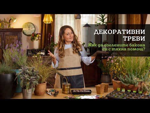 Видео: Как да озелените балкона си с декоративни треви?