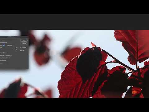 Видео: Как сохранить изображение в JPEG в Photoshop