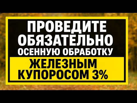 Видео: Как спасти сад от парши и грибков: обработка железным купоросом в сентябре и октябре