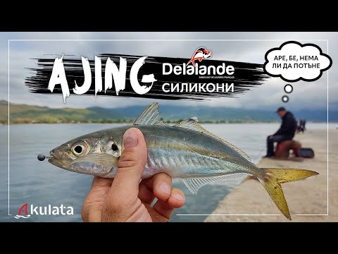 Видео: Ajing на кокали. Силикони на Delalande