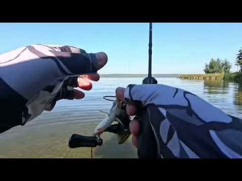 Видео: Утренний мормышинг.