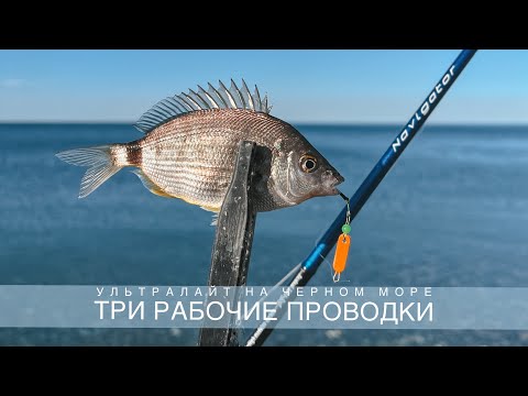 Видео: С ультралайтом в октябре🎣 Рыбалка на Черном море🐟 3 рабочие проводки✅