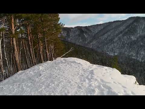 Видео: Почти доехал до "Есауловской петли" но что-то пошло не так... "Царская гора" на квадроцикле 17.11.24