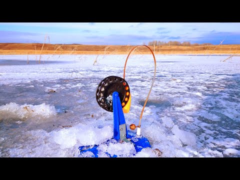 Видео: Рыбалка на жерлицы ноябрь 2024. Первый лёд.