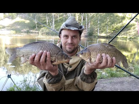 Видео: Крупный КАРАСЬ на волшебные шарики. Пенотесто рулит