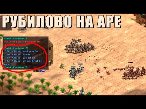 Видео: НАДОЕЛИ СДАВАТЬСЯ В КОМАНДЕ | Винч пытается тащить в Age of Empires 2