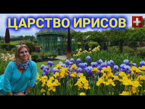 Видео: Царство пионов и ирисов| буйство красок