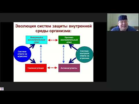 Видео: Септическая коагулопатия Афончиков В.С.