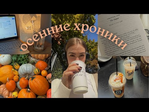 Видео: осенние хроники — книжные магазины, кофе, учеба и теплые образы 🍂🥮