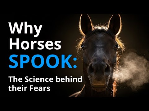 Видео: Мы объясняем, почему ЛОШАДЕЙ ЛЕГКО ПУГАЮТ, исследуя ИНСТИНКТЫ ВЫЖИВАНИЯ