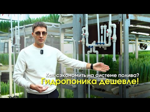 Видео: Бюджетная система полива тюльпанов | Подача воды, перелив, водоотведение