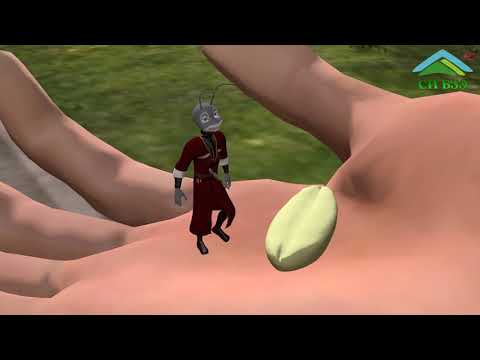 Видео: ЛIымрэ хъумпIэцIэджымрэ