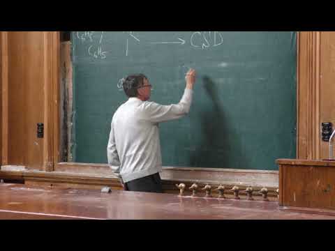 Видео: Словохотов Ю.Л. - Кристаллохимия - 15. Координационная кристаллохимия