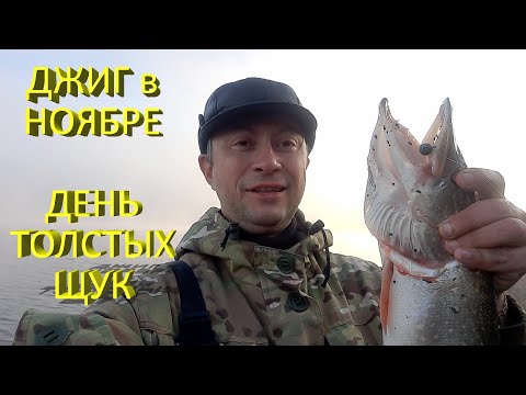 Видео: 🔥 ЩУКА на ДЖИГ в НОЯБРЕ. Manns Predator и дальнобойный спиннинг Graphiteleader Tiro Prototype 🔥