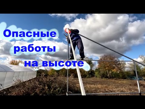 Видео: #229 Теплица растёт на глазах.