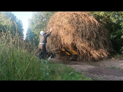 Видео: На речку за сеном!