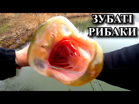 Видео: РИБАки ледь не ПОБИЛИ! РЫБАлка вогонь!