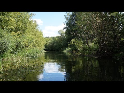 Видео: Впадение Свапы в Сейм