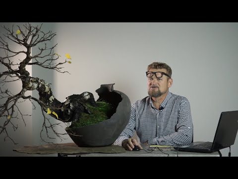 Видео: Береза повислая. Часть 2